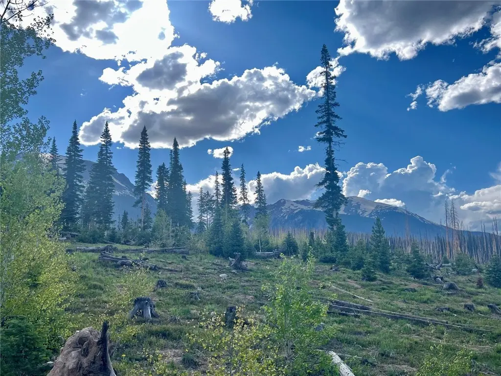 89410 Ryan Gulch Road 104, Silverthorne