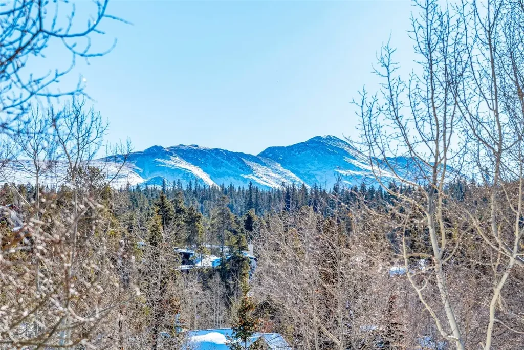 N 107 Harris Street 209, Breckenridge