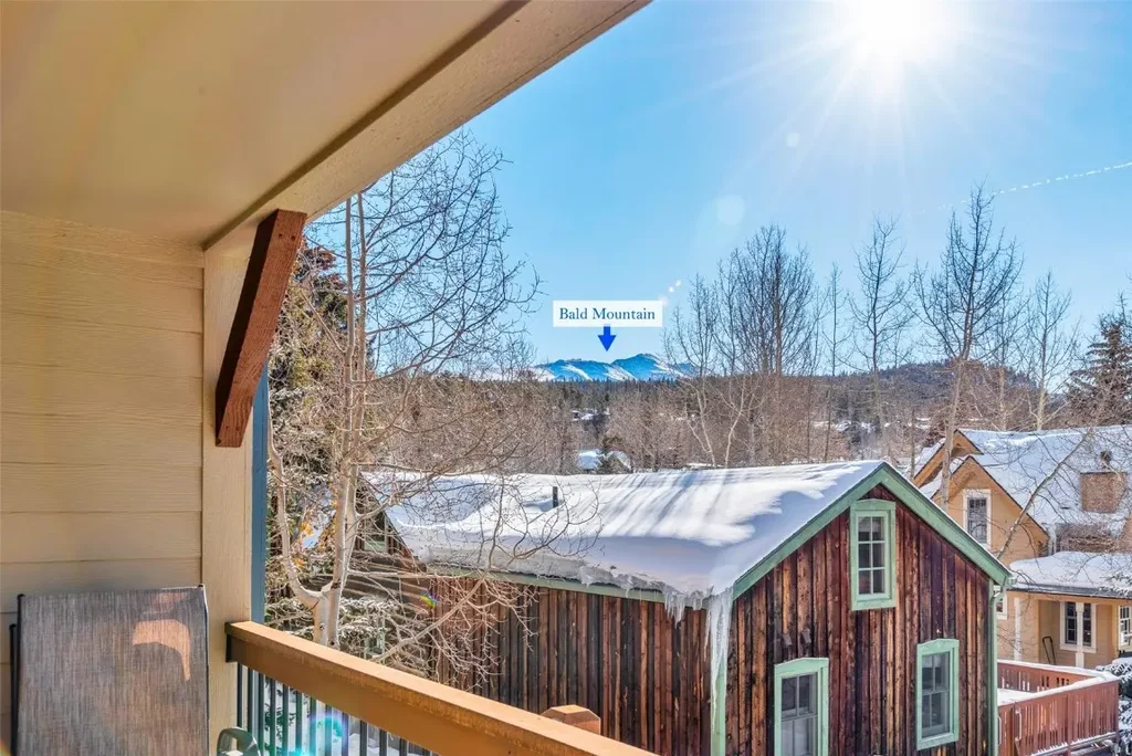 N 107 Harris Street 209, Breckenridge