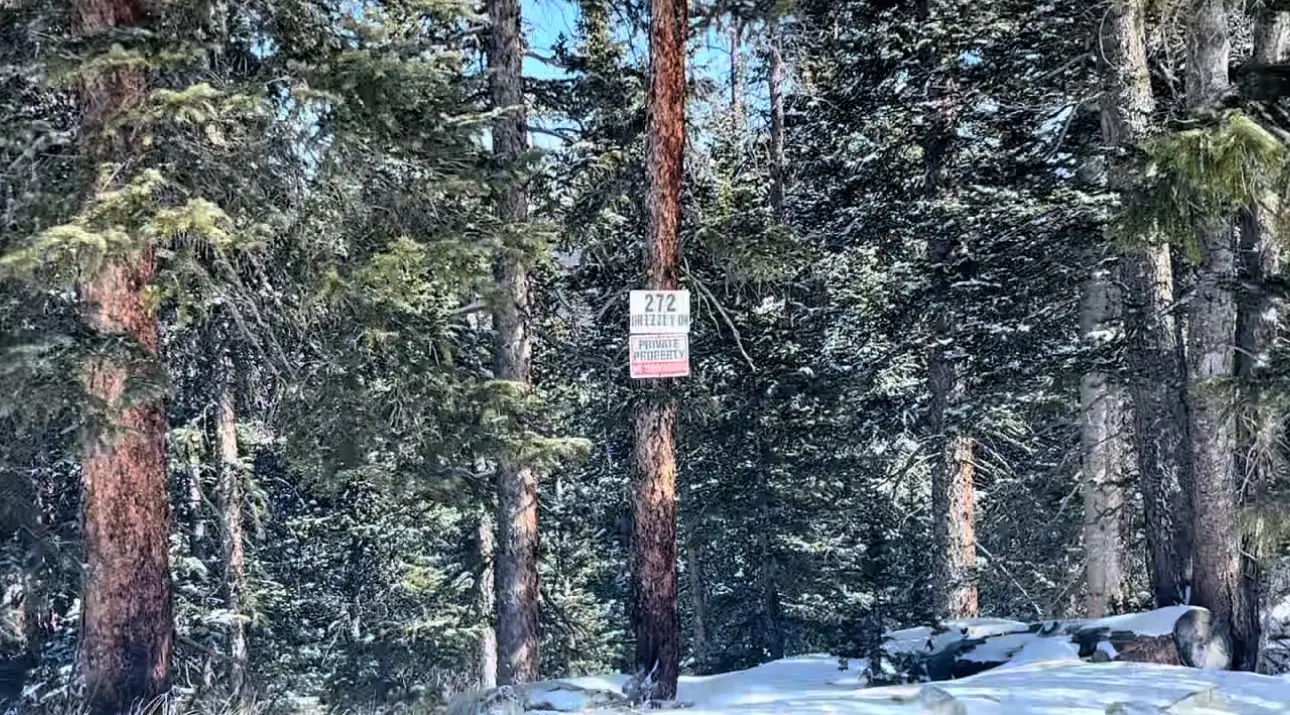 272 Grizzly Drive, Fairplay