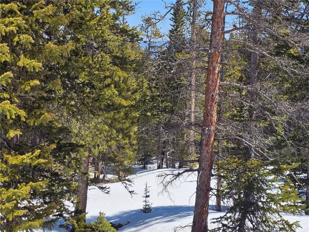 318 El Lobo Lane, Fairplay