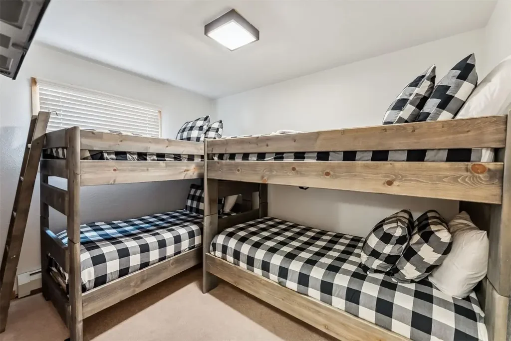 119 Royal Tiger Road, Breckenridge