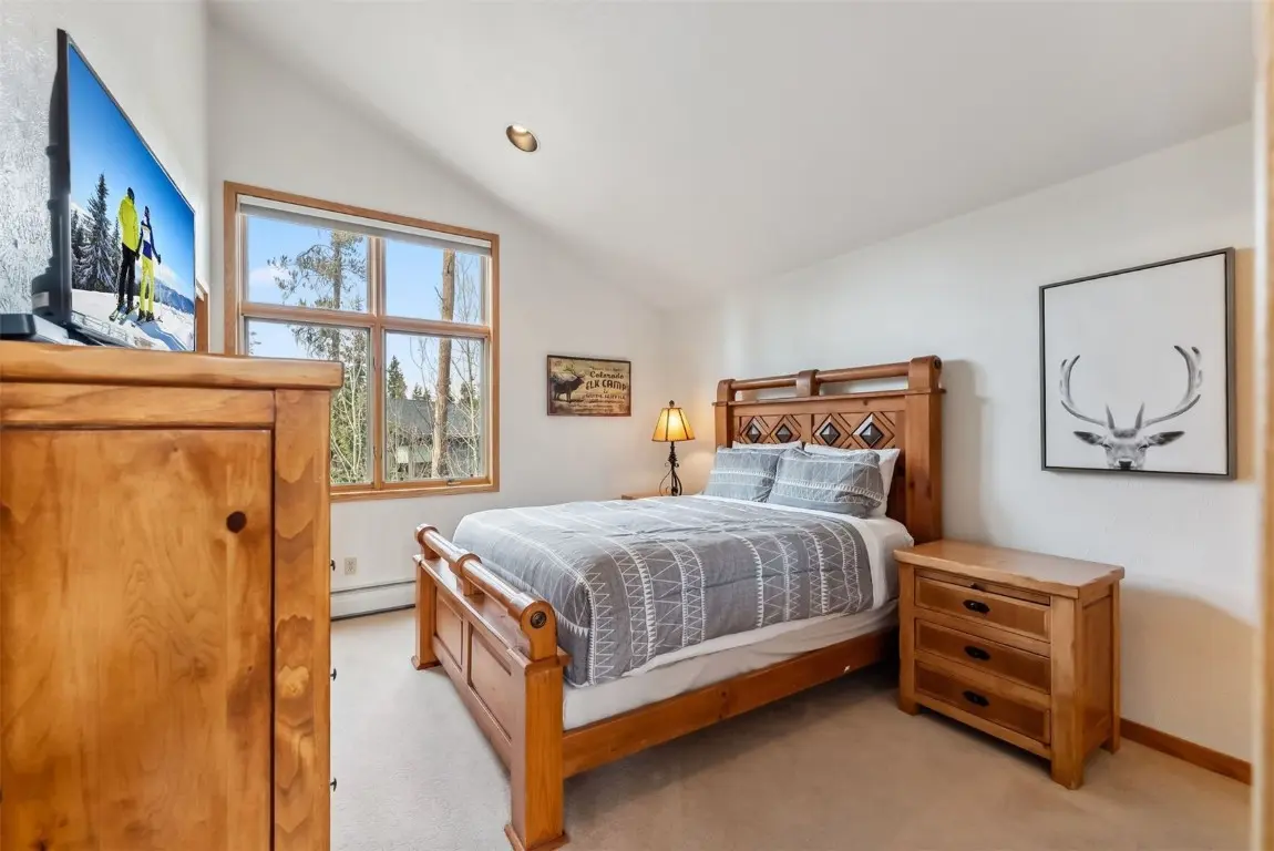 119 Royal Tiger Road, Breckenridge