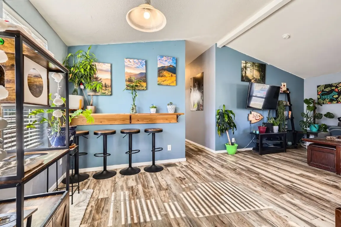 105 Red Cloud Peak Road, Dillon