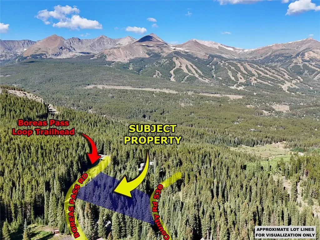 3362 Boreas Pass Road, Breckenridge