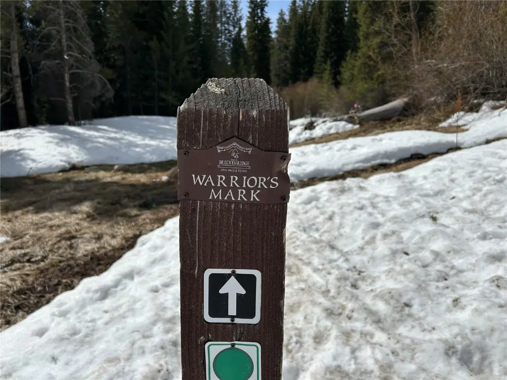 876 Broken Lance Drive 876, Breckenridge