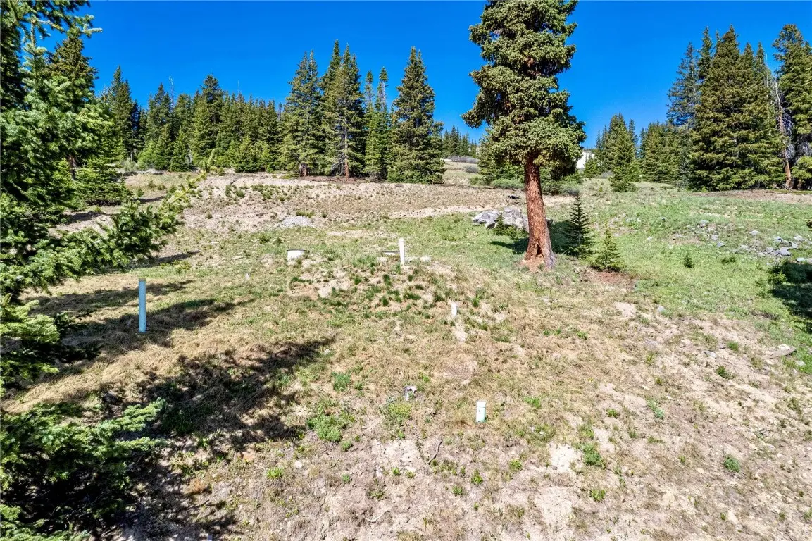 46 Robertson Lane, Breckenridge