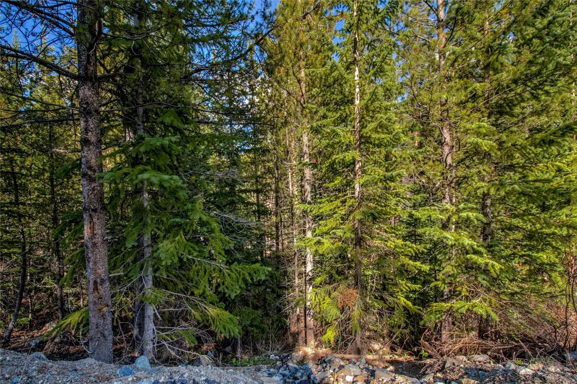 163 Lakeview Drive, Breckenridge