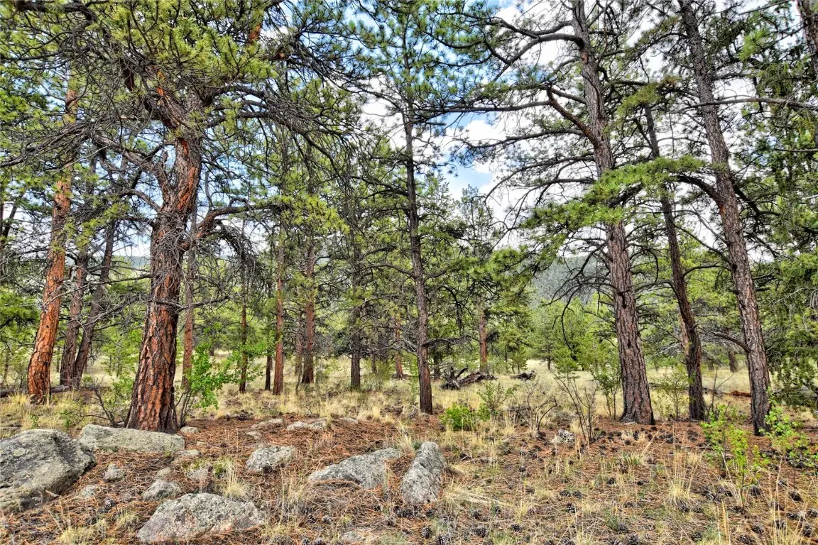 490 Teller Street, Lake George