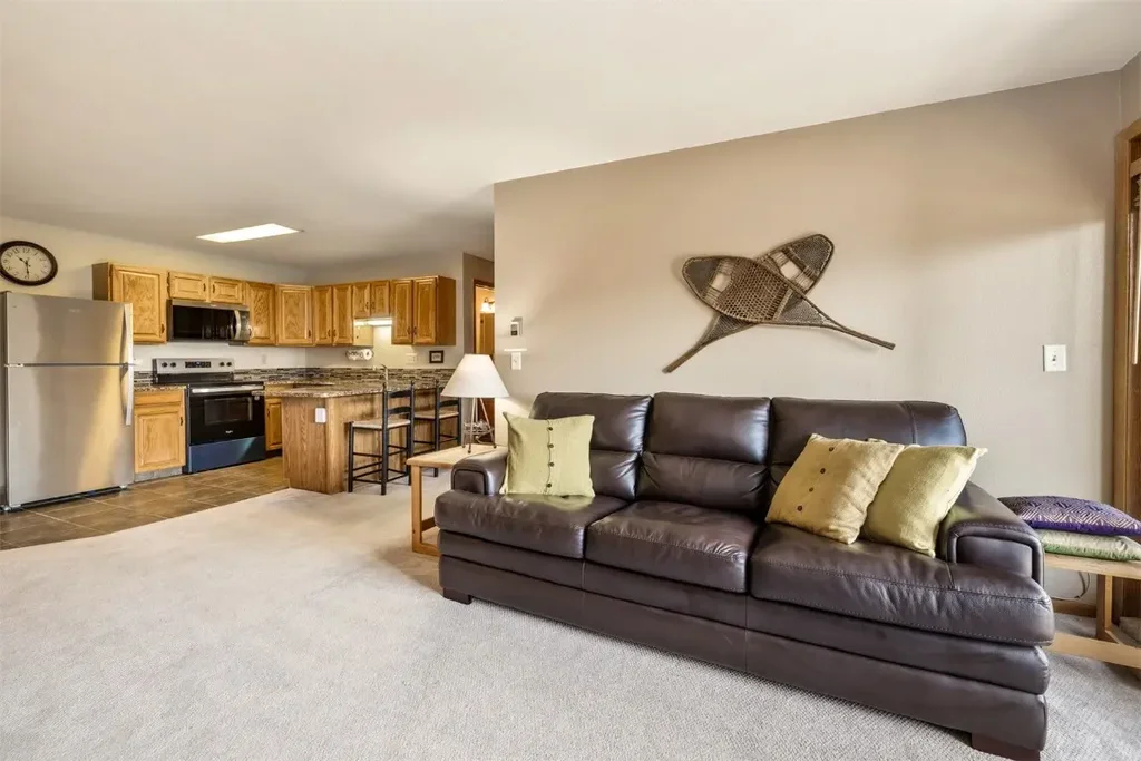 89410 Ryan Gulch Road 301, Silverthorne