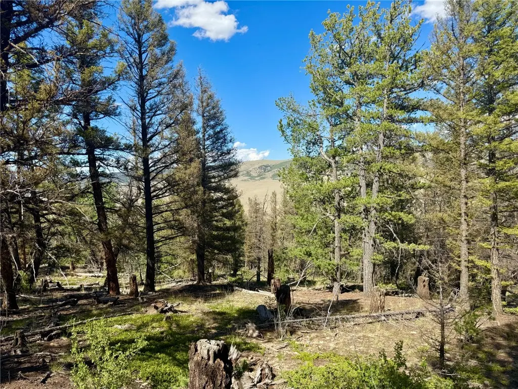 Lot 223 Middle Fork Vista, Fairplay