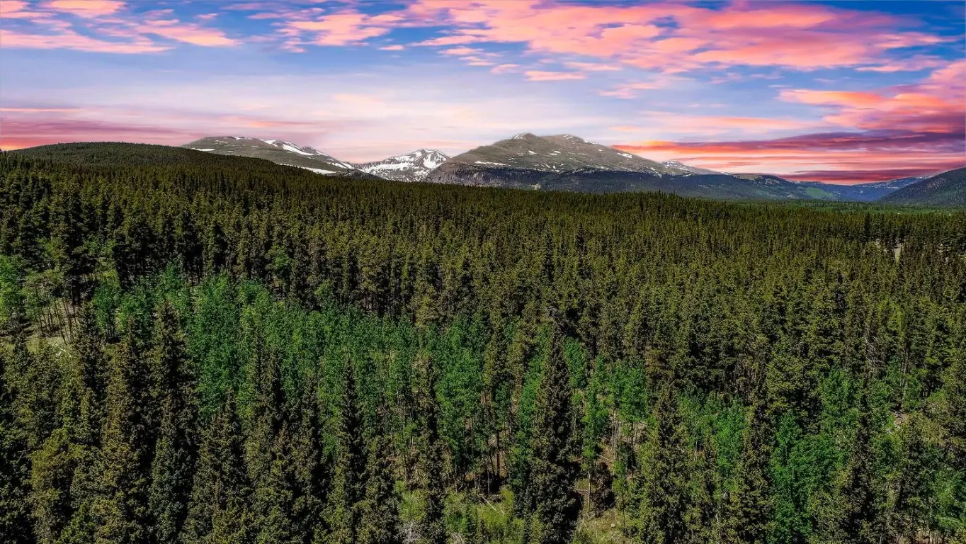 4100 Co Rd 1, Fairplay