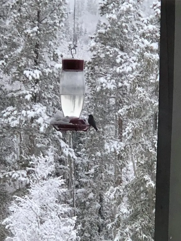 2510 Ryan Gulch Road 2512, Silverthorne