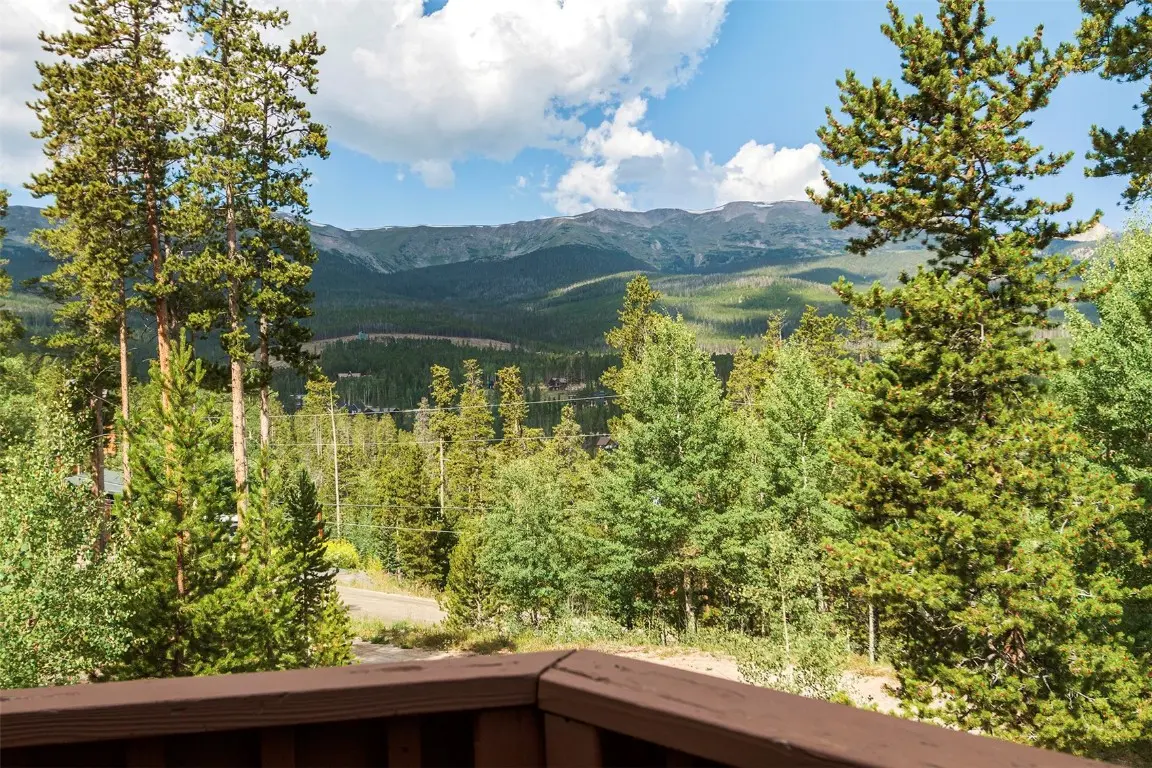 1187 American Way, Breckenridge