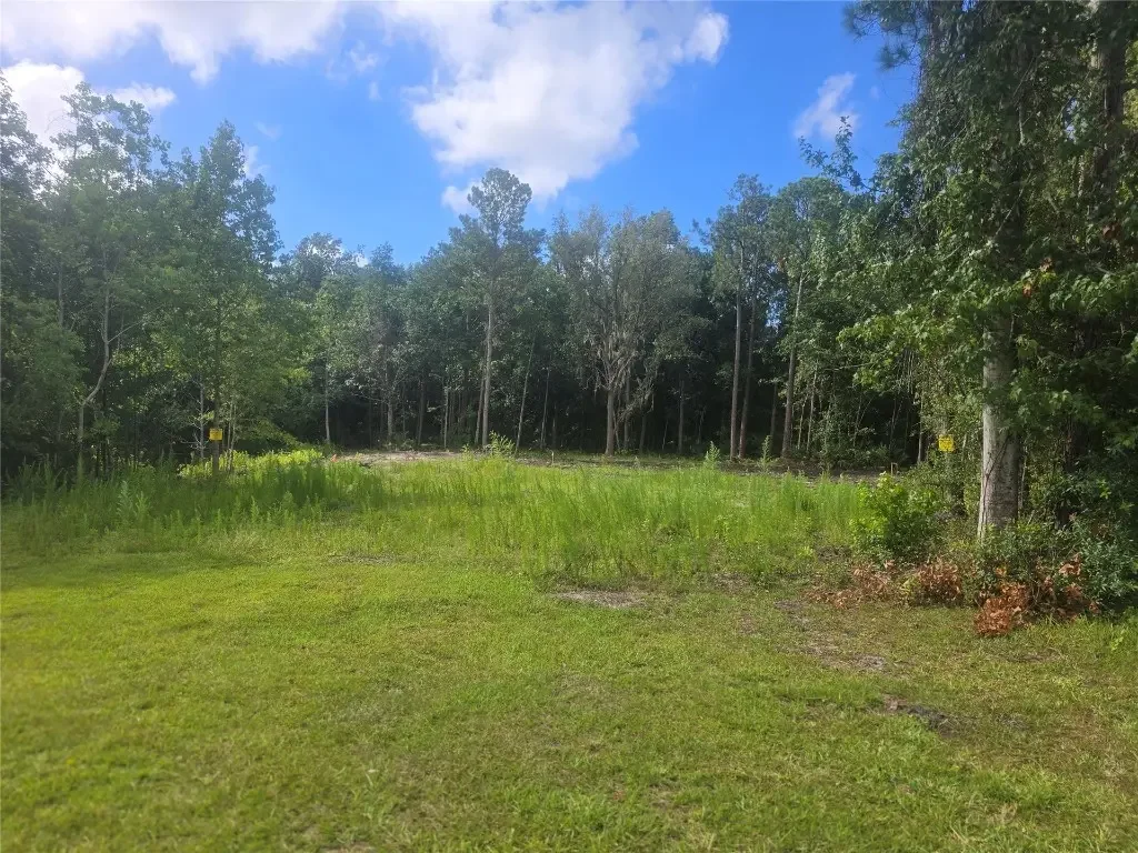 910 Someruelus Street, Fernandina Beach