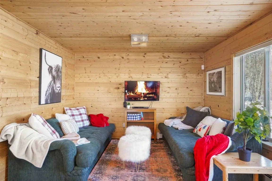 70 Sheep Creek Trail, Fairplay