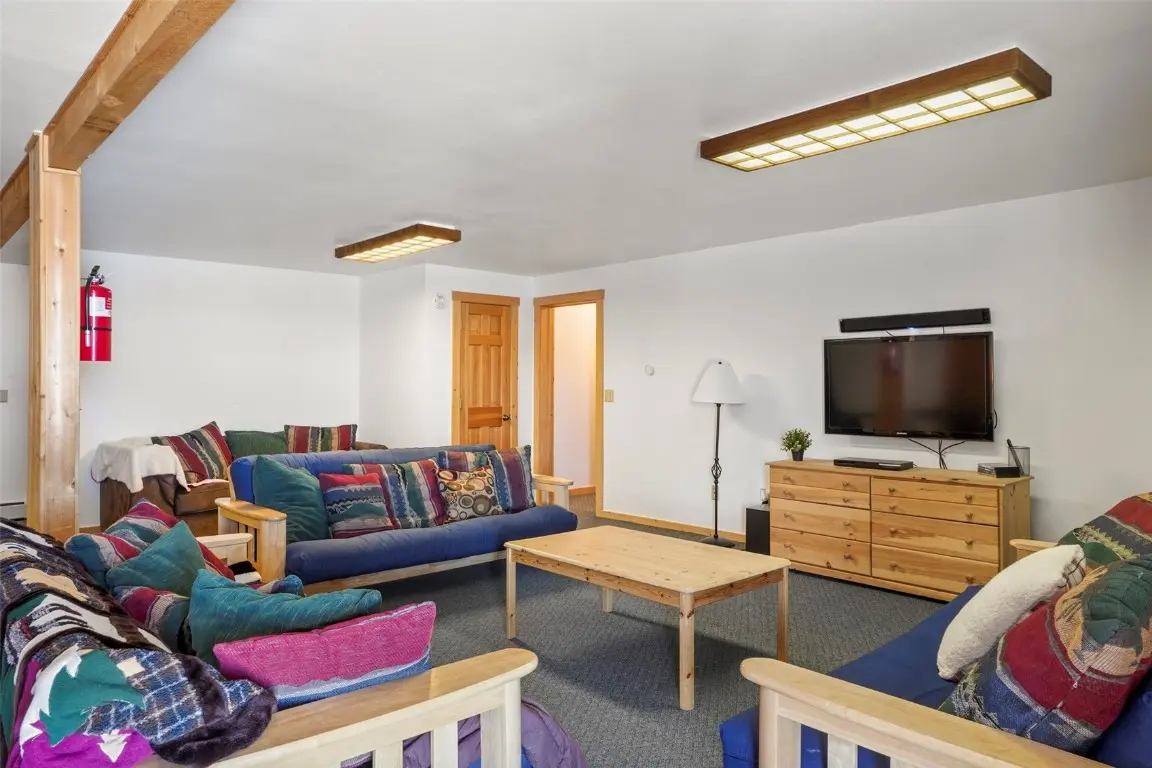 70 Sheep Creek Trail, Fairplay