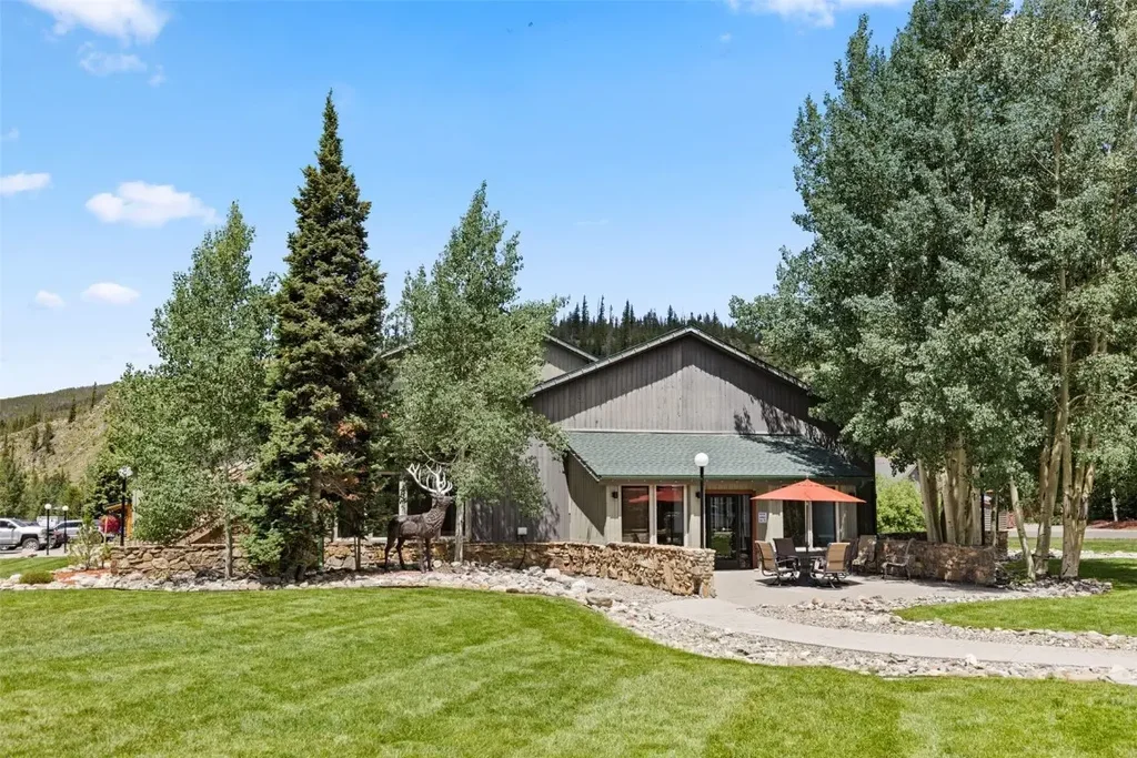 85 Revett #347 Drive, Breckenridge