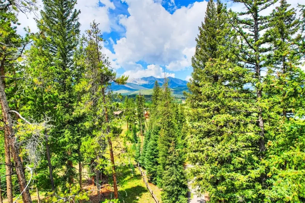 550 Gold Run Road, Breckenridge