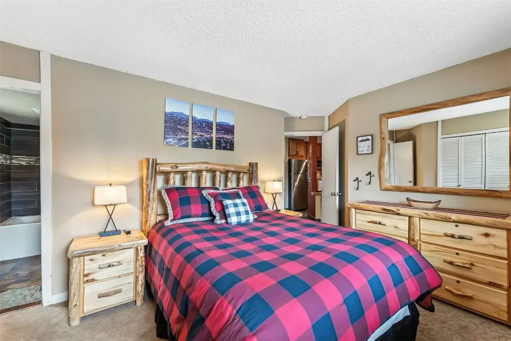 S 550 French Street 205, Breckenridge