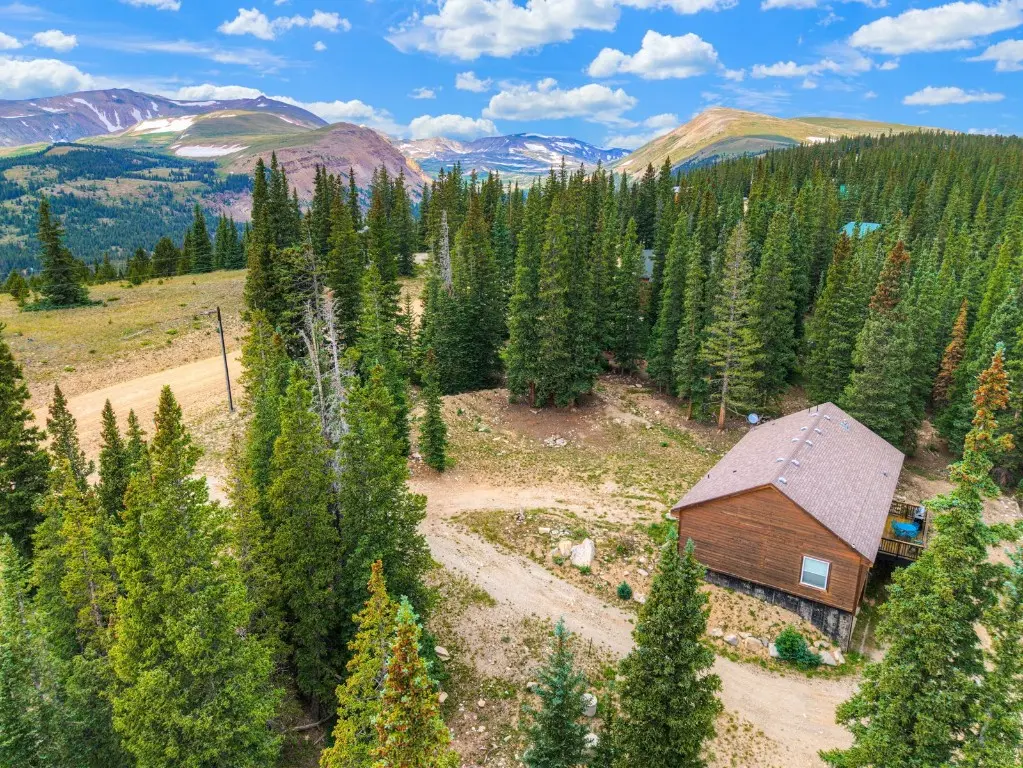 1167 Mountain View Drive, Fairplay