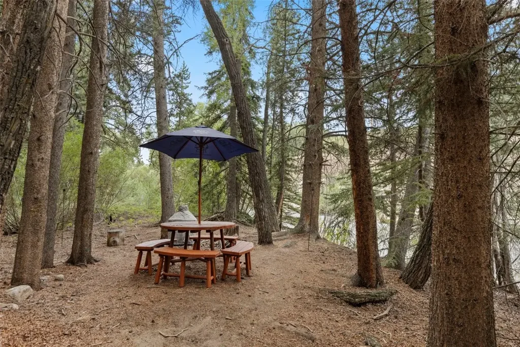 43 Maverick Way, Silverthorne