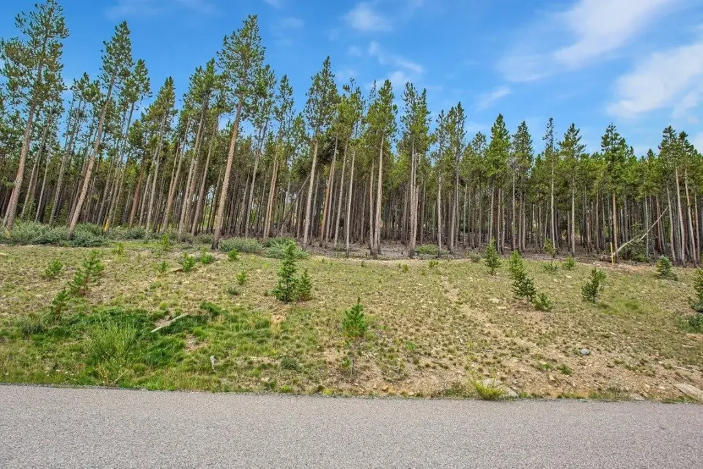 705 Discovery Hill Drive, Breckenridge