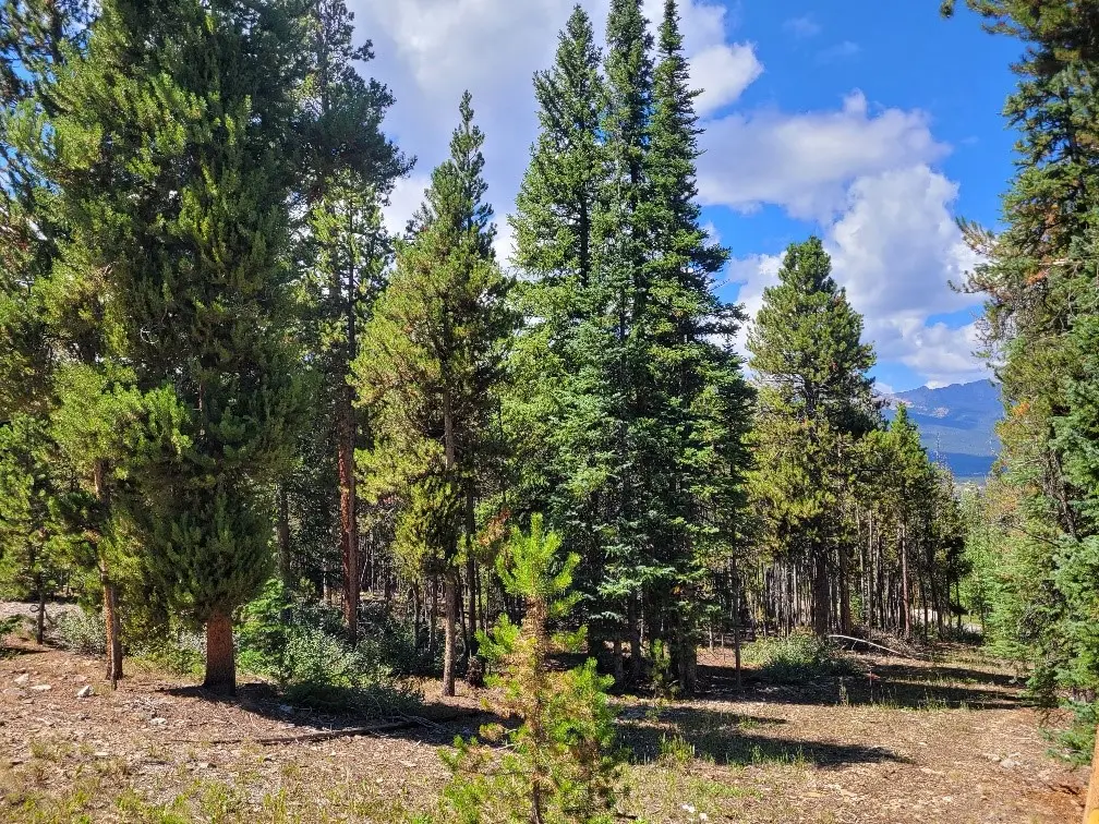 285 Green Jay Lane, Breckenridge