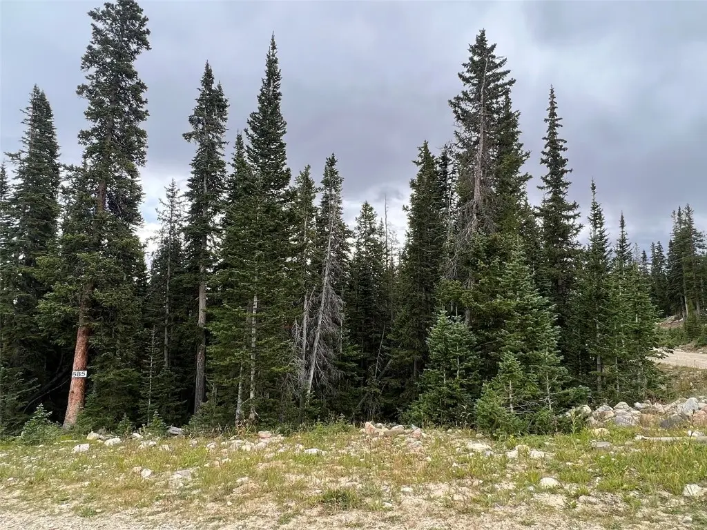 134 El Lobo Lane, Fairplay