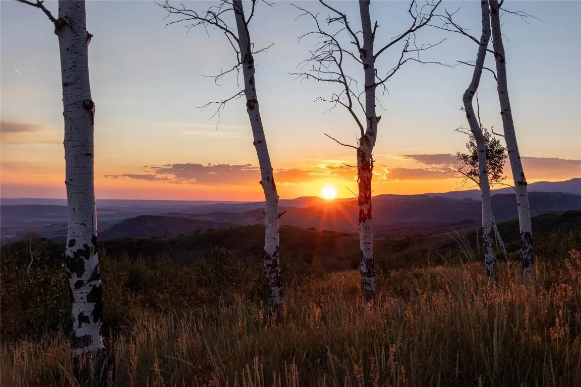 50166 County Road 80, Hayden