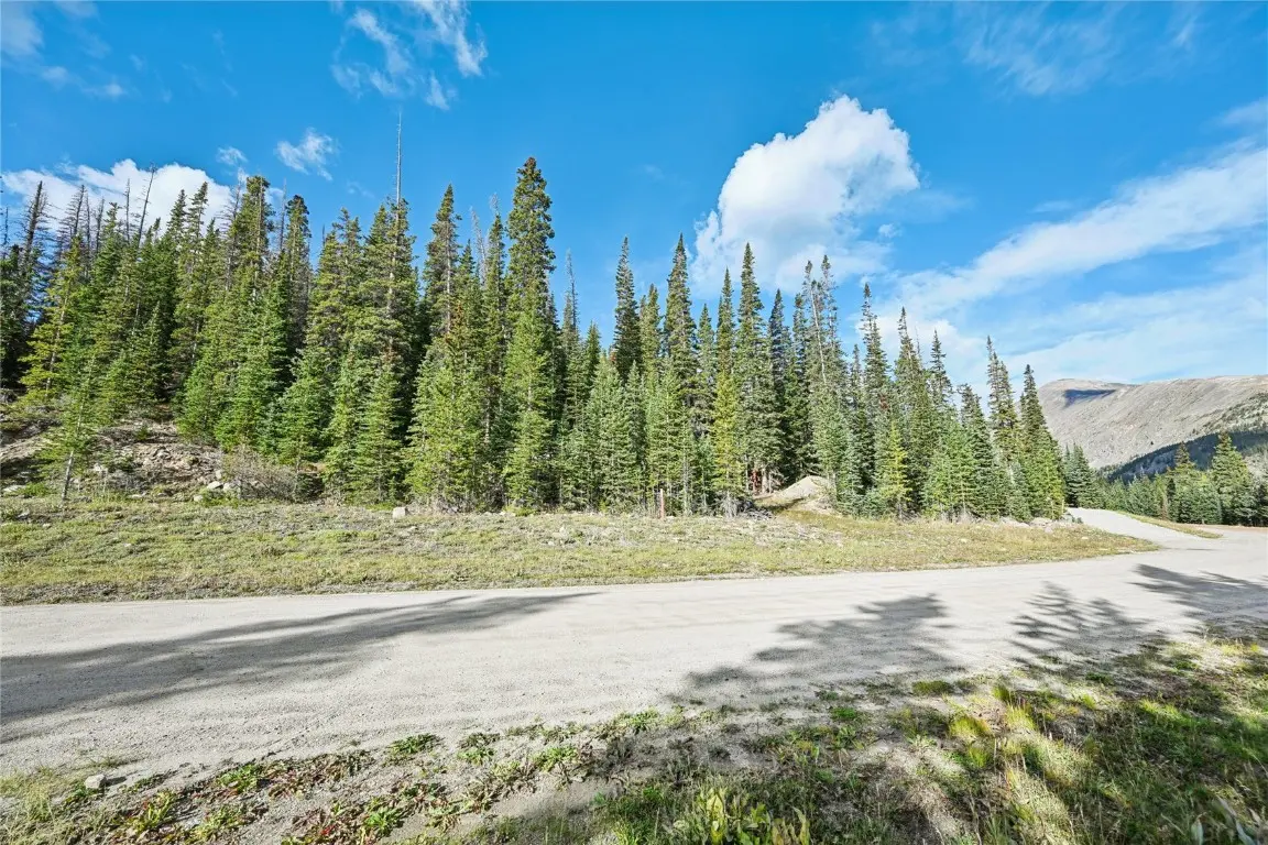 159 Hamilton, Breckenridge