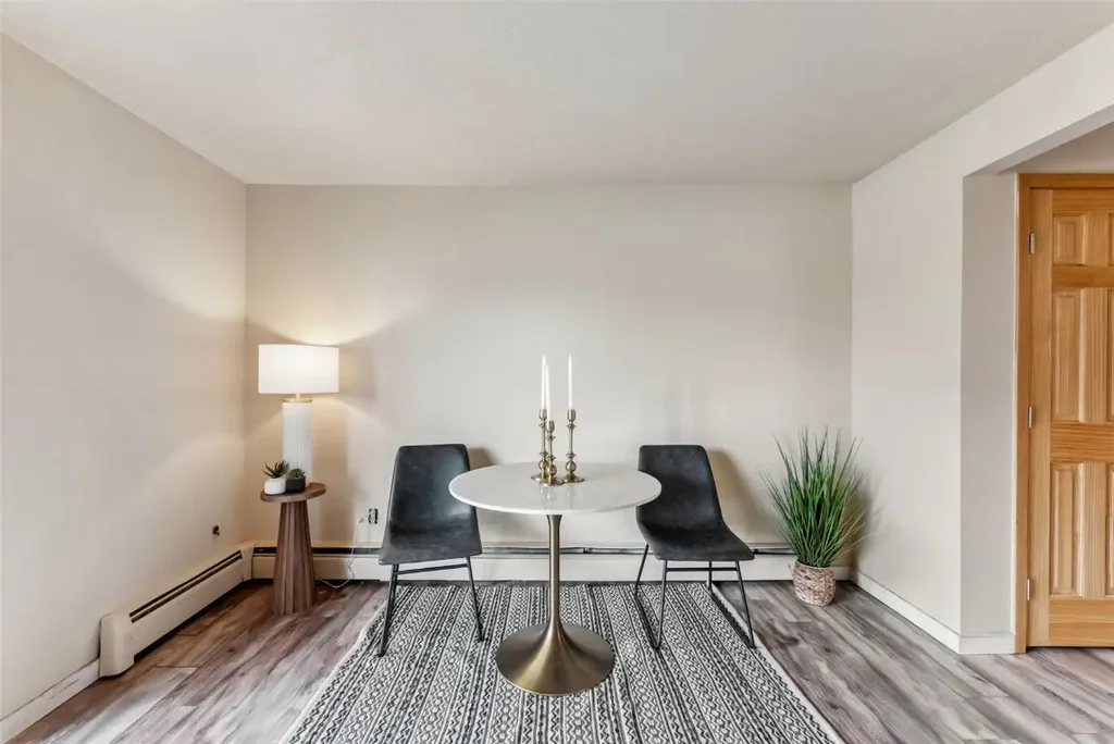 535 Straight Creek Drive 104, Dillon