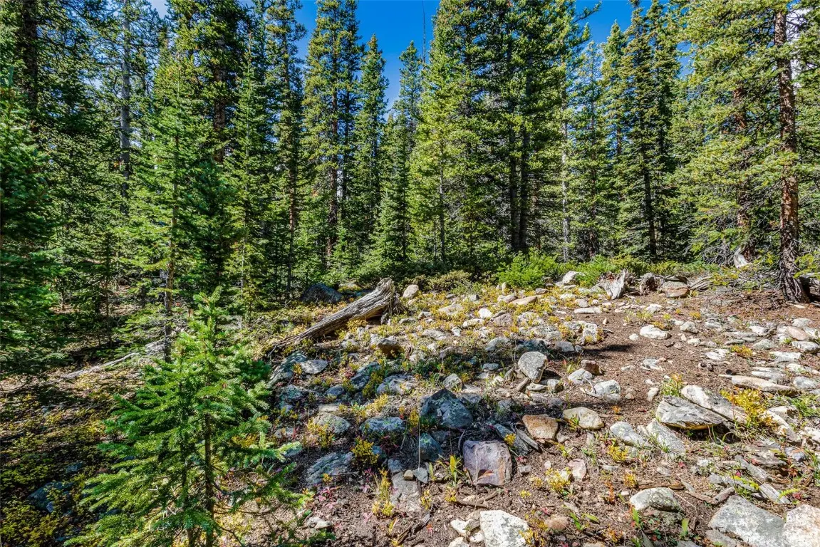 245 El Lobo Lane, Fairplay