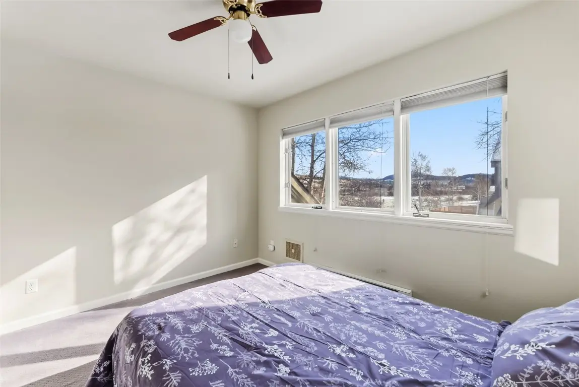 113 Badger Court, Silverthorne