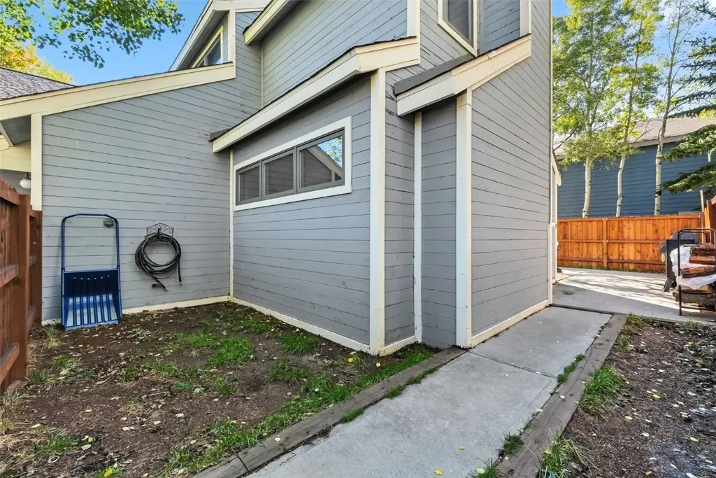 113 Badger Court, Silverthorne