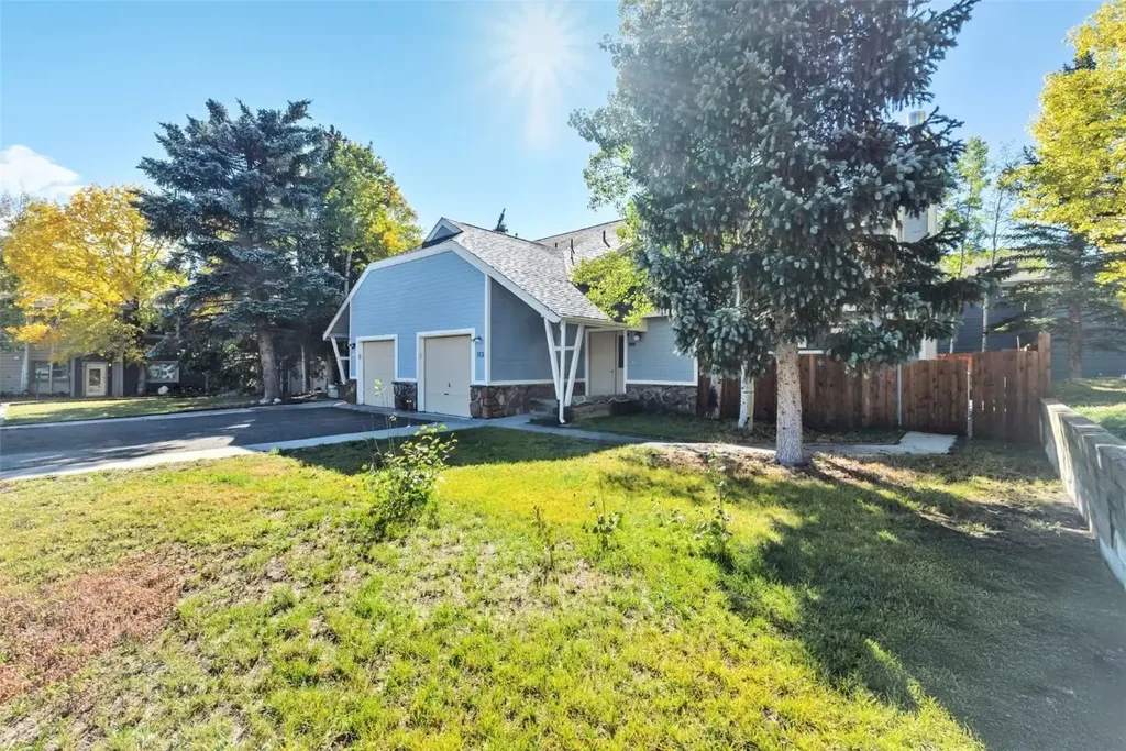 113 Badger Court, Silverthorne