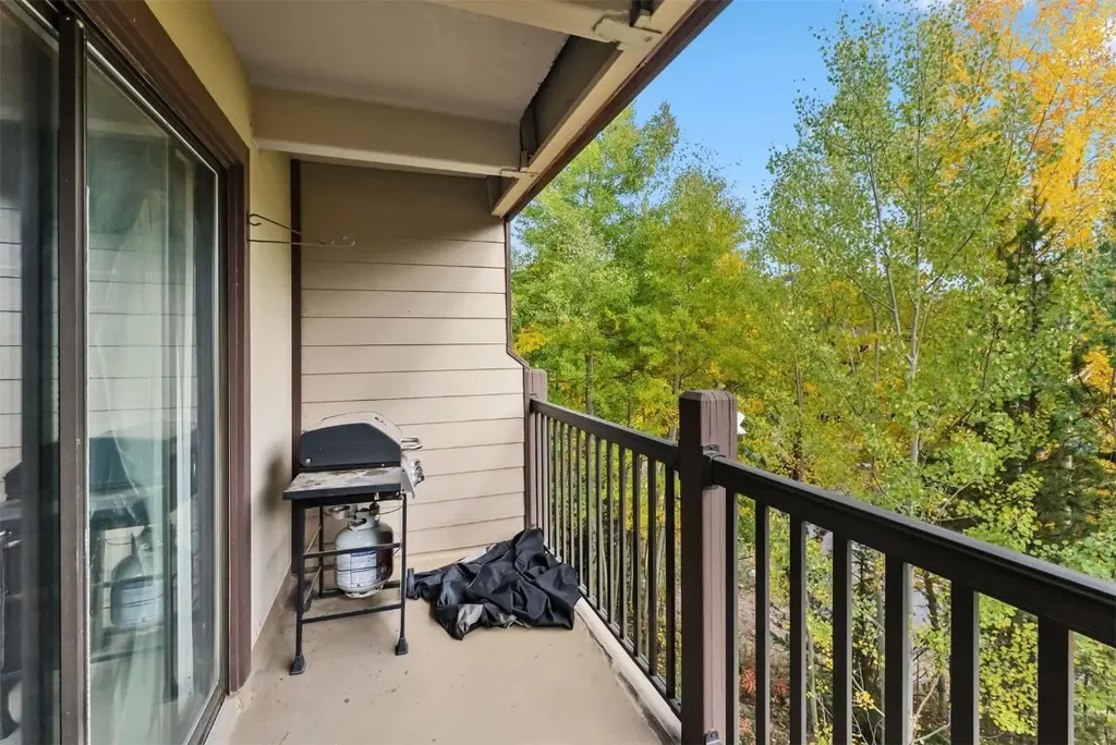 9339 State Hwy 9 101, Breckenridge