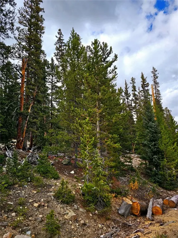 387 El Lobo Lane, Fairplay