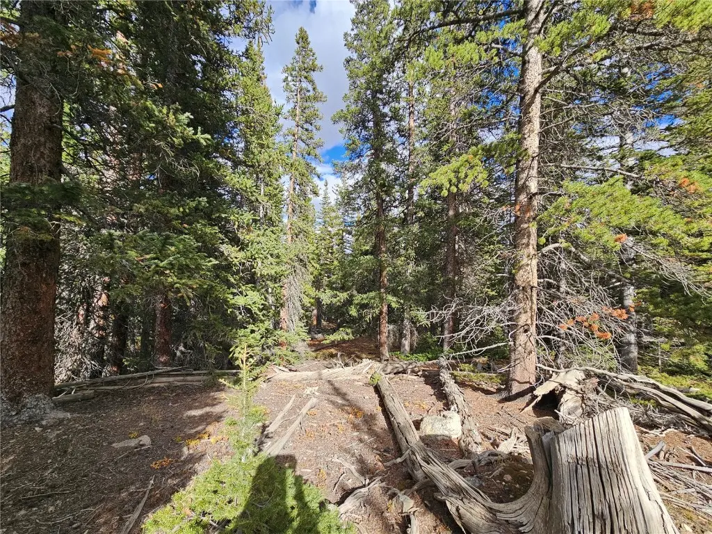 617 Gold Trail Circle, Fairplay