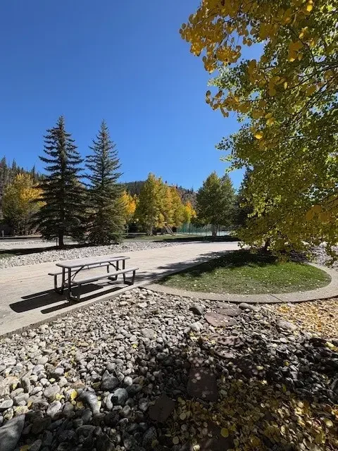 85 Revett #261 Drive, Breckenridge