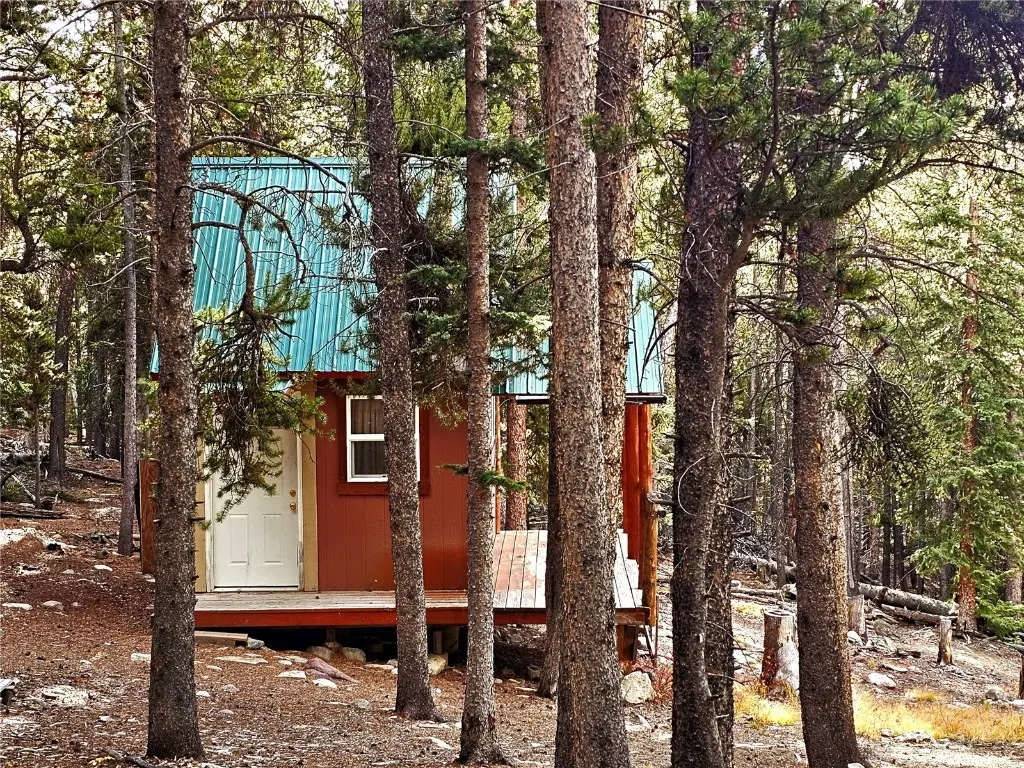 102 Gold Trail, Fairplay