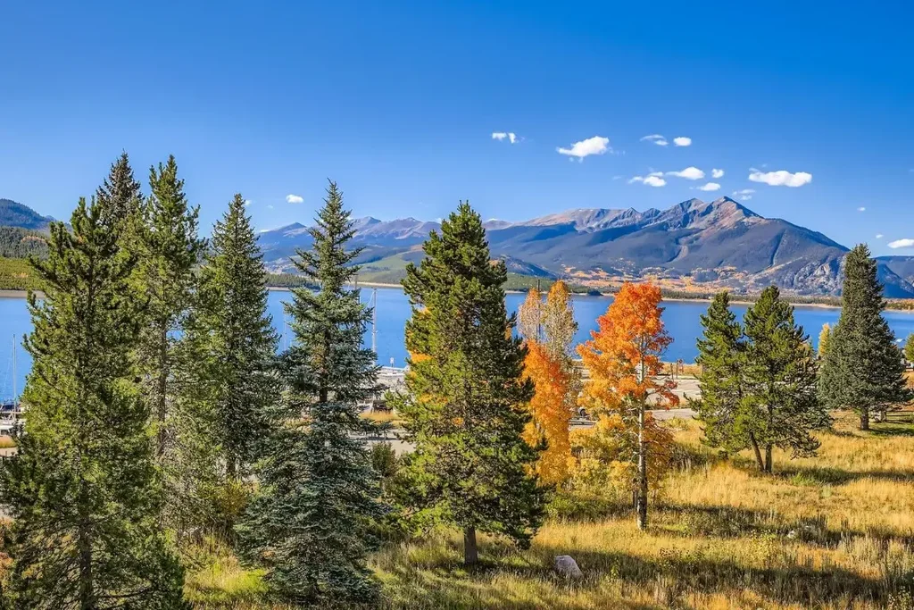 E 160 La Bonte Street 306, Dillon