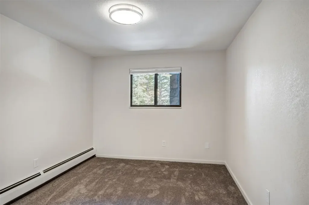 E 112 La Bonte Street 208, Dillon