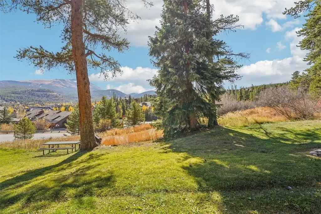 875 Four Oclock Road D1, Breckenridge