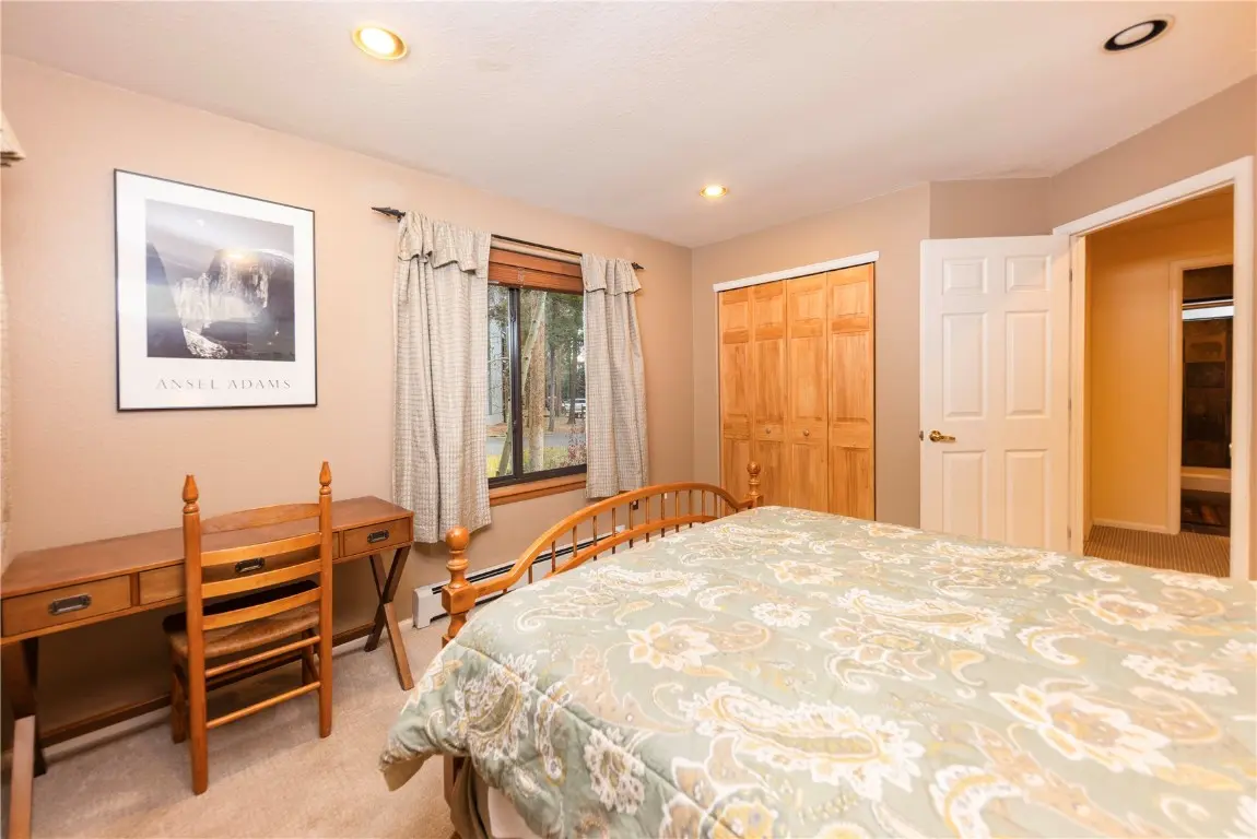 114 Park Forest Drive, Breckenridge