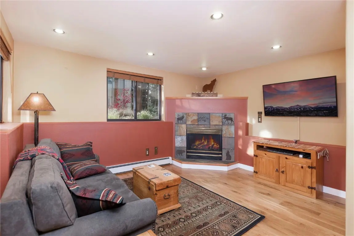 114 Park Forest Drive, Breckenridge