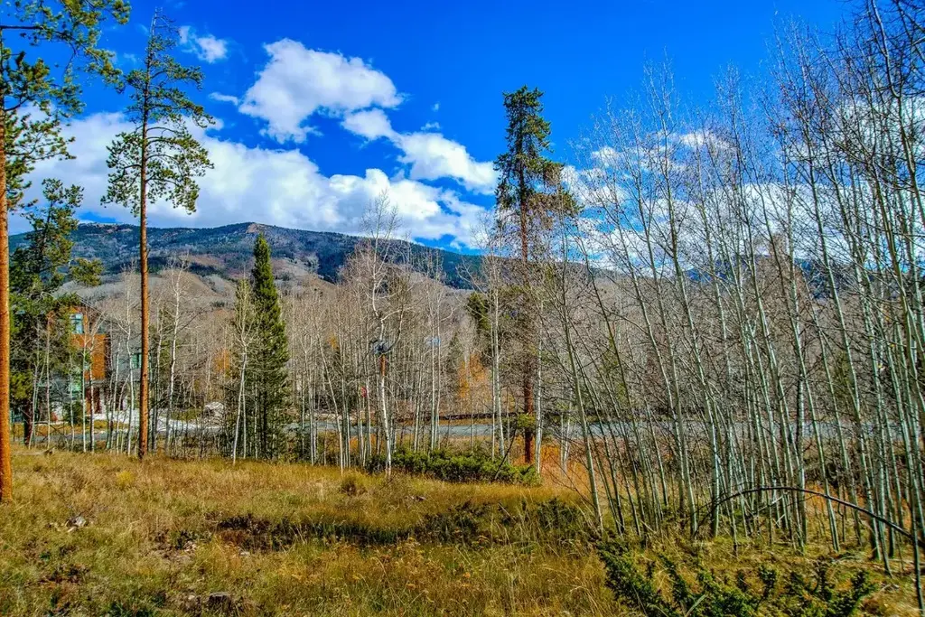 1650 Falcon Circle, Silverthorne