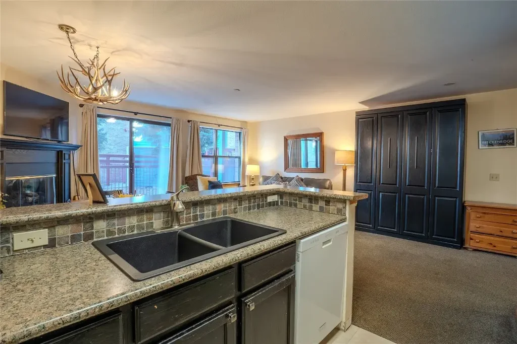 S 100 Park Avenue E115, Breckenridge