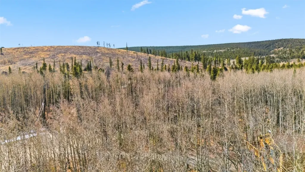 1097 High Creek Road, Fairplay