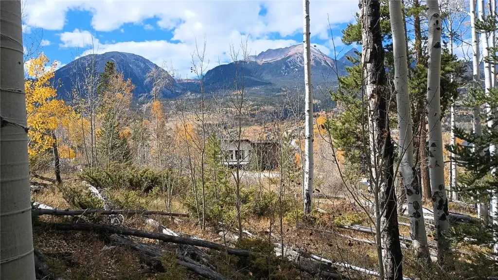 161 Angler Mountain Ranch Road S, Silverthorne